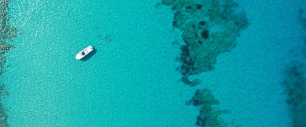 Sea Charter Ibiza - Contact